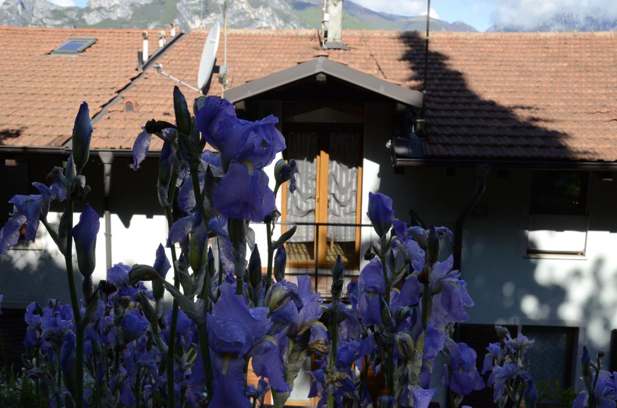 Appartamento Al Forte Torbole Sul Garda Exterior foto